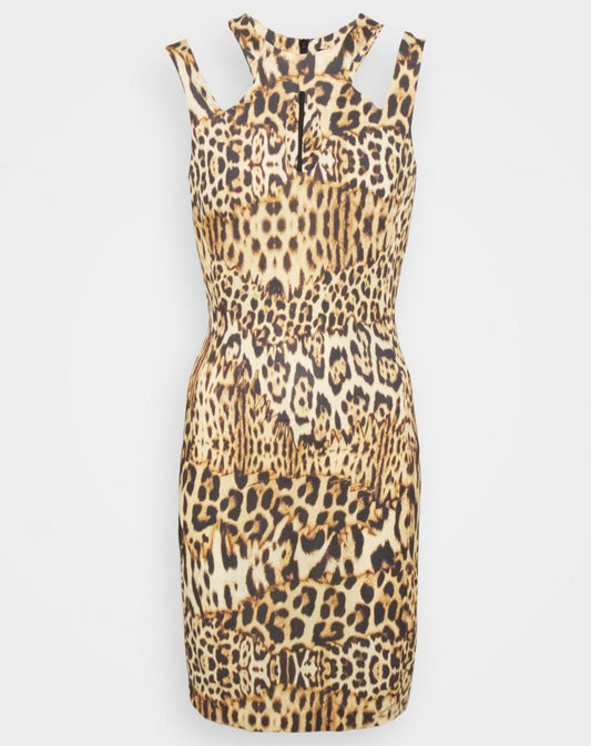 Lady Dress